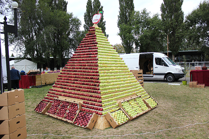 Экспозиция плодовых культур Ставрополья